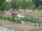Location de particuliers � particuliers La salamandre perigord, piscine, jardin Chambres d'hotes Dordogne photo 6