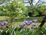 Location de particuliers � particuliers Maison de campagne, � c�t� de Montbazens G�te Aveyron photo 7