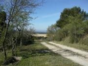 Location de particuliers � particuliers Gite le bregoux, pr�s du Mont Ventoux G�te Vaucluse photo 10