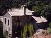 Location g�te, chambres d'hotes G&icirc;te rural des Nabi&egrave;res en C&eacute;vennes m&eacute;ridionales dans le d�partement Gard 30