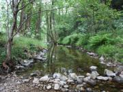 Location de particuliers � particuliers G�te rural des Nabi�res en C�vennes m�ridionales G�te Gard photo 11