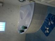 Location de particuliers � particuliers Location une belle chambre chey un habitant Chambres chez l'habitant Loir et Cher photo 3