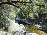 Location de particuliers � particuliers  Les g�tes la theule : vieilles maison protestante au coeur des Cevennes G�te Gard photo 9
