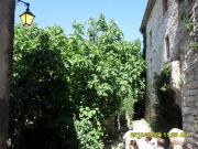 Location de particuliers � particuliers La Ch�neraie, Village de Caract�re Chambres d'hotes Gard photo 8