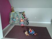 Location de particuliers � particuliers Le g�te du doulac, au c�ur du Marais Audomarois G�te Pas de Calais photo 15