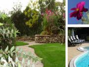 Location de particuliers � particuliers G�te LAVANDE 2 � 4 pers. avec piscine au pied du Pic Saint Loup, nord de Montpellier G�te H�rault photo 9