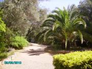Location de particuliers � particuliers APT F3 REZ DE JARDIN PISCINE VUE MER Location saisonni�re Corse du Sud photo 2