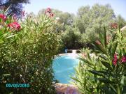 Location de particuliers � particuliers APT F3 REZ DE JARDIN PISCINE VUE MER Location saisonni�re Corse du Sud photo 3
