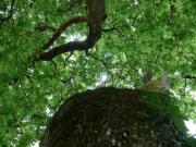 Location de particuliers � particuliers Studio 