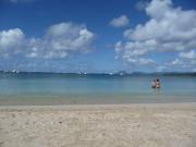 Location de particuliers � particuliers Studio belle vue mer caraibes Location saisonni�re Martinique photo 14