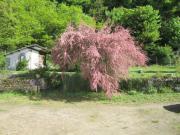 Location de particuliers � particuliers Le Moulin � vent, centre ville, sur site bois� class� Chambres d'hotes Yvelines photo 8