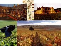 Location de particuliers � particuliers G�te des hautes C�tes-8 km-Beaune&Nuits St Georges Location saisonni�re C�te d'or photo 10