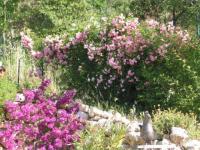 Location de particuliers � particuliers Le mas de frayere sur la cote d'azur Chambres d'hotes Alpes maritimes photo 7