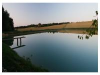 Location de particuliers � particuliers En Laurenc, piscine, sauna, lac et bois 1-13p G�te Gers photo 8