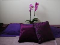 Location de particuliers � particuliers La linea proche plage Chambres d'hotes Calvados photo 3