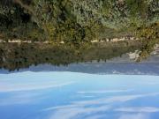 Location de particuliers � particuliers Confortable studio Sud Luberon Location saisonni�re Vaucluse photo 8