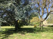 Location de particuliers � particuliers Les Chambres de Libr'Hisse, grande long�re du XVI�me Chambres d'hotes C�tes d'Armor photo 11
