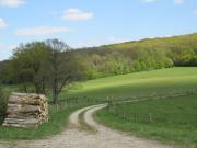 Location de particuliers � particuliers LA TANIERE DOUCE, face � la rivi�re Chambres d'hotes Haute Marne photo 10