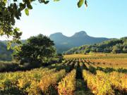 Location de particuliers � particuliers La Cigale Bleue du Gard, Sud des Cevennes Location saisonni�re Gard photo 4