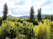 Location de particuliers � particuliers La Cigale Bleue du Gard, Sud des Cevennes Location saisonni�re Gard photo 6