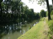 Location de particuliers � particuliers Maison de Toutens  plein coeur du Lauragais Chambres d'hotes Aude photo 11