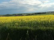 Location de particuliers � particuliers Maison de Toutens  plein coeur du Lauragais Chambres d'hotes Aude photo 14