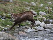 Location de particuliers � particuliers A la cime du rucher, Chambres et tables d'h�tes Chambres d'hotes Savoie photo 8