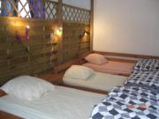 Location de particuliers � particuliers La verriere, en lisi�re de foret G�te Seine et Marne photo 10