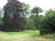 Location de particuliers � particuliers La verriere, en lisi�re de foret G�te Seine et Marne photo 12