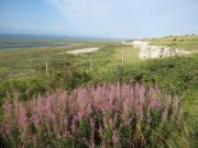 Location de particuliers � particuliers � de Mer - Chambre d'h�tes � Sangatte C�te d'Opale Chambres d'hotes Pas de Calais photo 13
