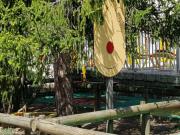 Location de particuliers � particuliers G�te 8 personnes dans un Camping 4 �toiles G�te Ard�che photo 6