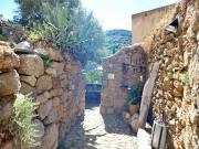 Location de particuliers � particuliers Chez Evelyne, Chambre d'h�tes avec jardin Chambres d'hotes Haute Corse photo 7