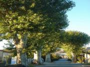 Location de particuliers � particuliers G�te charmant proche Cit� de Carcassonne (10 mn) G�te Aude photo 12
