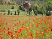 Location de particuliers � particuliers AUBERGE DE VAZERAT, gite, ferme fortifi�e du XVI�me si�cle G�te Cantal photo 2