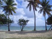 Location de particuliers � particuliers MARTINIQUE, bord de l'eau,vue mer des Cara�bes Location saisonni�re Martinique photo 2