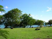Location de particuliers � particuliers MARTINIQUE Studio bord de plage Location saisonni�re Martinique photo 3