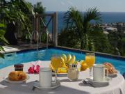 Location de particuliers � particuliers MARTINIQUE F2 PAPAYER, piscine, wifi, Sainte Luce, 2 personnes Location saisonni�re Martinique photo 7