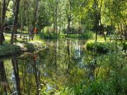 Location de particuliers � particuliers G�te pour 4 personnes en Sologne G�te Loir et Cher photo 2
