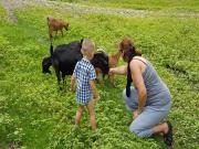 Location de particuliers � particuliers G�te pour 4 personnes en Sologne G�te Loir et Cher photo 3