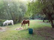 Location de particuliers � particuliers G�te pour 4 personnes en Sologne G�te Loir et Cher photo 6