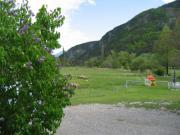 Location de particuliers � particuliers Mobil-home dans petit camping au calme entre for�t et montagne Camping / Mobile-home Hautes alpes photo 6