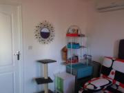 Location de particuliers � particuliers Z'or�ol, vue sur la mer  Chambres chez l'habitant R�union photo 3