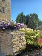 Location de particuliers � particuliers MAISON DE CHARME LES ORCHIDEES JAUNAY CLAN PROX Poitiers Chambres d'hotes Vienne photo 12