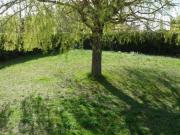Location de particuliers � particuliers G�te au coeur de Provence G�te Vaucluse photo 13