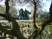 Location de particuliers � particuliers Chambres d'hotes La Capucine Lub�ron, village proven�al Chambres d'hotes Vaucluse photo 3