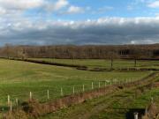 Location de particuliers � particuliers La Visini�re-10 min Bourbon l'Archambault dans L'allier 03, Auvergne Chambres d'hotes Allier photo 6