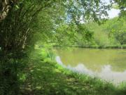 Location de particuliers � particuliers GITE DES ETANGS (P�che - randonn�es p�destres et VTT) G�te Sa�ne et Loire photo 11