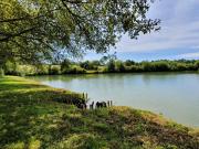 Location de particuliers � particuliers La Grave - Chambres d'h�tes de charme � La Sauve Chambres d'hotes Gironde photo 11