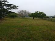 Location de particuliers � particuliers Maison � louer en Gironde aux portes de Saint Emilion Location saisonni�re Gironde photo 9