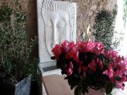 Location de particuliers � particuliers MA�NI gite et chambres d'h�tes G�te H�rault photo 2